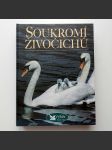 Soukromí živočichů - náhled