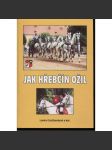 Jak hřebčín ožil (kůň, koně, hřebčín Kladruby nad Vltavou) - náhled