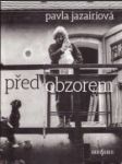 Před obzorem - náhled