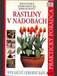 Rastliny v nádobách - náhled