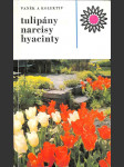 Tulipány, narcisy, hyacinty - náhled