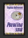 Pavučina snů - náhled