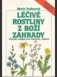 Léčivé rostliny z boží zahrady - náhled