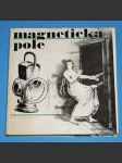 Magnetická pole + mikrodeska - náhled