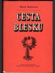 Cesta blesku - náhled