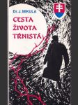 Cesta života tŕnistá - náhled