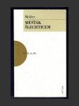 Měšťák šlechticem - náhled