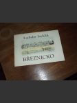 Březnicko - náhled