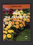 Rok na zahrádce - náhled