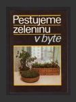 Pestujeme zeleninu v byte - náhled