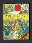 O lékaři Pingovi a jeho svízelné cestě za spravedlností - náhled