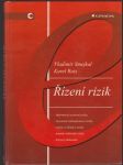 Řízení rizik - náhled