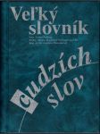 Veľký slovník cudzích slov - náhled