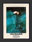 Jan Saudek - Divadlo života - náhled