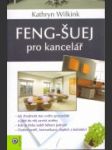 Feng-šuej pro kancelář - náhled