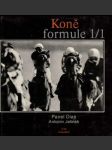 Koně - formule 1-1 - náhled