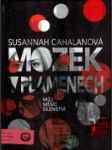 Mozek v plamenech - náhled