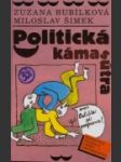 Politická kámasútra - náhled