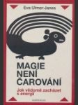 Magie není čarování  - náhled