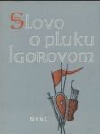 Slovo o pluku Igorovom - náhled