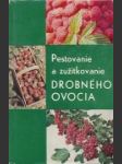 Pestovanie a zužitkovanie drobného ovocia - náhled