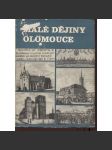 Malé dějiny Olomouce (Olomouc) - náhled