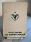 Pod junáckou vlajkou - náhled