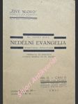 Nedělní evangelia homileticky zpracovaná - díl ii. část 2 - třináctá až dvacátá čtvrtá  neděle po svatém duchu - ries josef - náhled