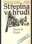 Střepina v hrudi - náhled