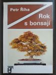 Rok s bonsají - náhled