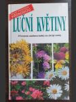 Luční květiny - přirozená nádhera květů na okraji cesty - náhled