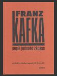 Popis jednoho zápasu (Beschreibung eines Kampfes) - náhled