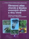 Obrazový atlas chorob a škůdců ovocných dřevin a révy vinné - hluchý milan/ ackermann petr/ zacharda miloslav/ bagar martin/ jetmerová e./ vanek g. - náhled