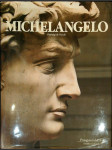 Michelangelo pittore: L'opera pittorica completa di Michelangelo - kompletní malířské dílo - náhled