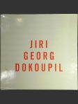 Jiri Georg Dokoupil - náhled