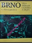 BRNO dílo přírody,člověka a dějin - HÁLOVÁ-JAHODOVÁ Cecilie - náhled