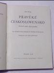 Pravěké československo - náhled