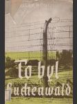 To byl buchenwald - náhled