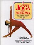 Joga podle iyengara - náhled