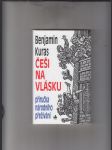 Češi na vlásku (Příručka národního přežívání) - náhled