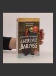 Les Adventures fantastiques d' Hercule Barfuss - náhled