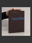 Liam Gillick. Woven, Intersected, Revised - náhled