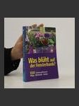 Was blüht auf der Fensterbank? - náhled