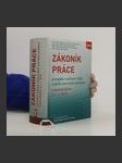 Zákoník práce, prováděcí nařízení vlády a další související předpisy s komentářem 2019 - náhled