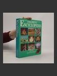 Childrens´s encyclopedia - náhled