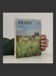 Praha - náhled