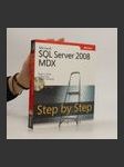 Microsoft SQL Server 2008 MDX Step by step - náhled