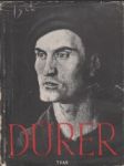 Dürer - náhled