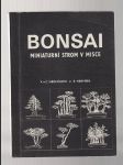 Bonsai miniaturní strom v misce - náhled