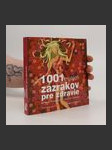 1001 malých zázrakov pre zdravie - náhled